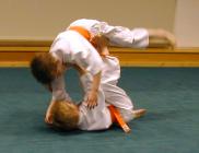 [Foto:
Judo-Wurf:
Tomoe Nage
]